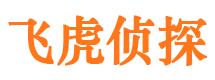 平原寻人公司